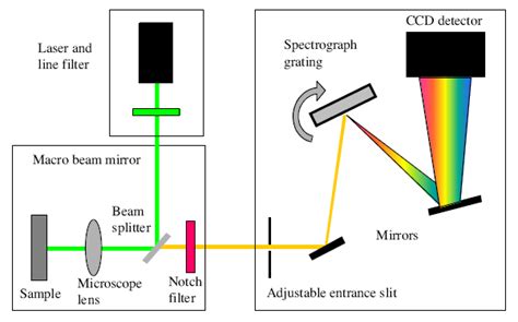 how to explain backscatter